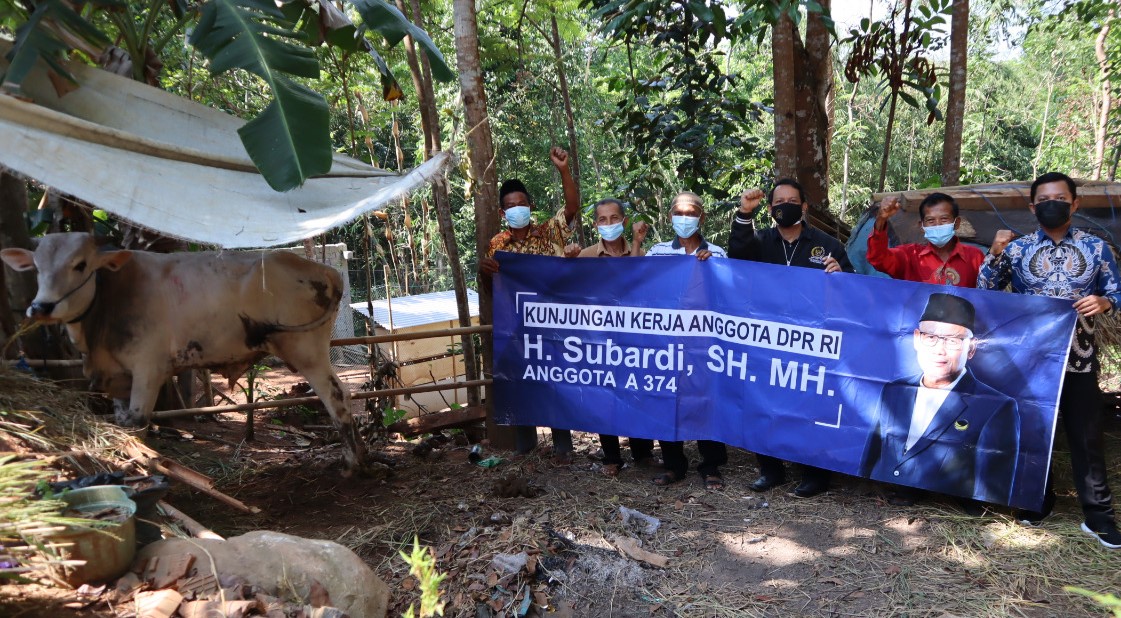 Subardi Serahkan 10 Ekor Sapi Kurban untuk Warga DIY